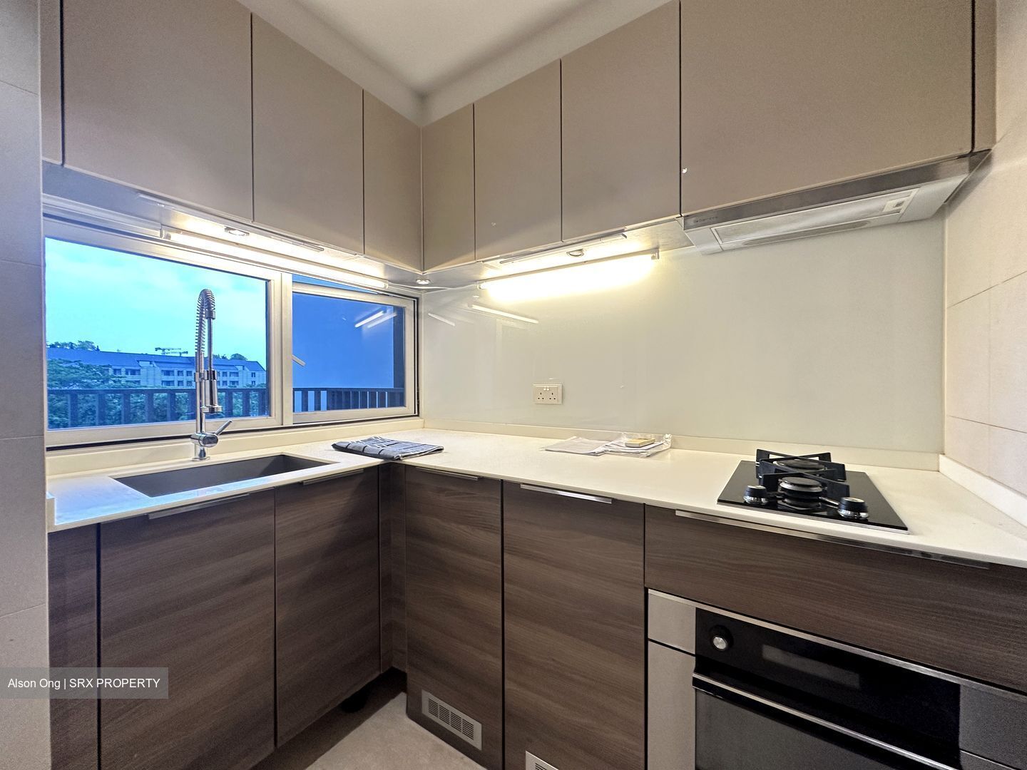 The Meyerise (D15), Condominium #437344901